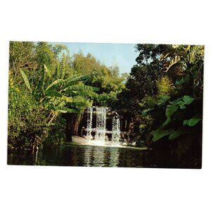 Vintage Disneyland Postcard Schweitzer Falls Adventureland Waterfall Vacation